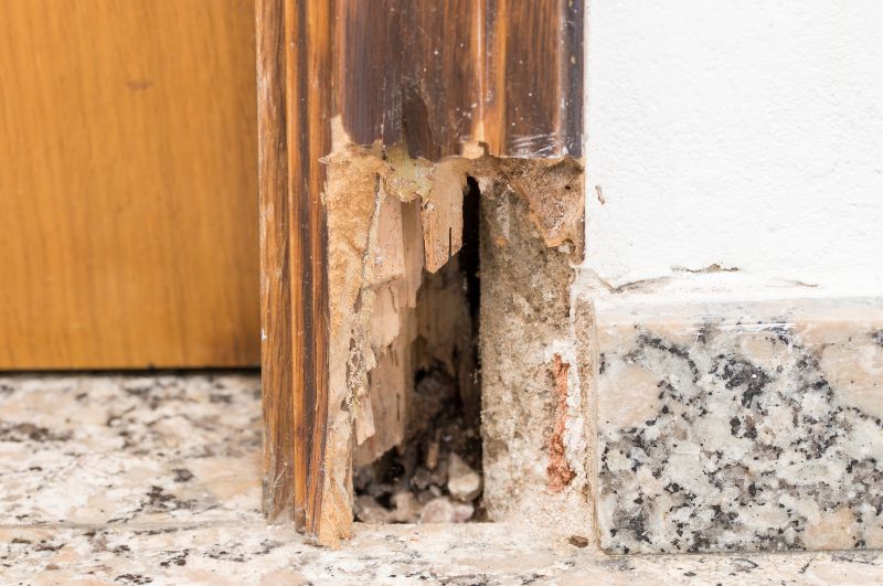 Door Frame Repair